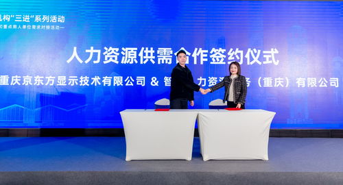 渝中區舉辦優質人力資源服務推介與重點單位需求對接活動，譜寫產業發展新篇章